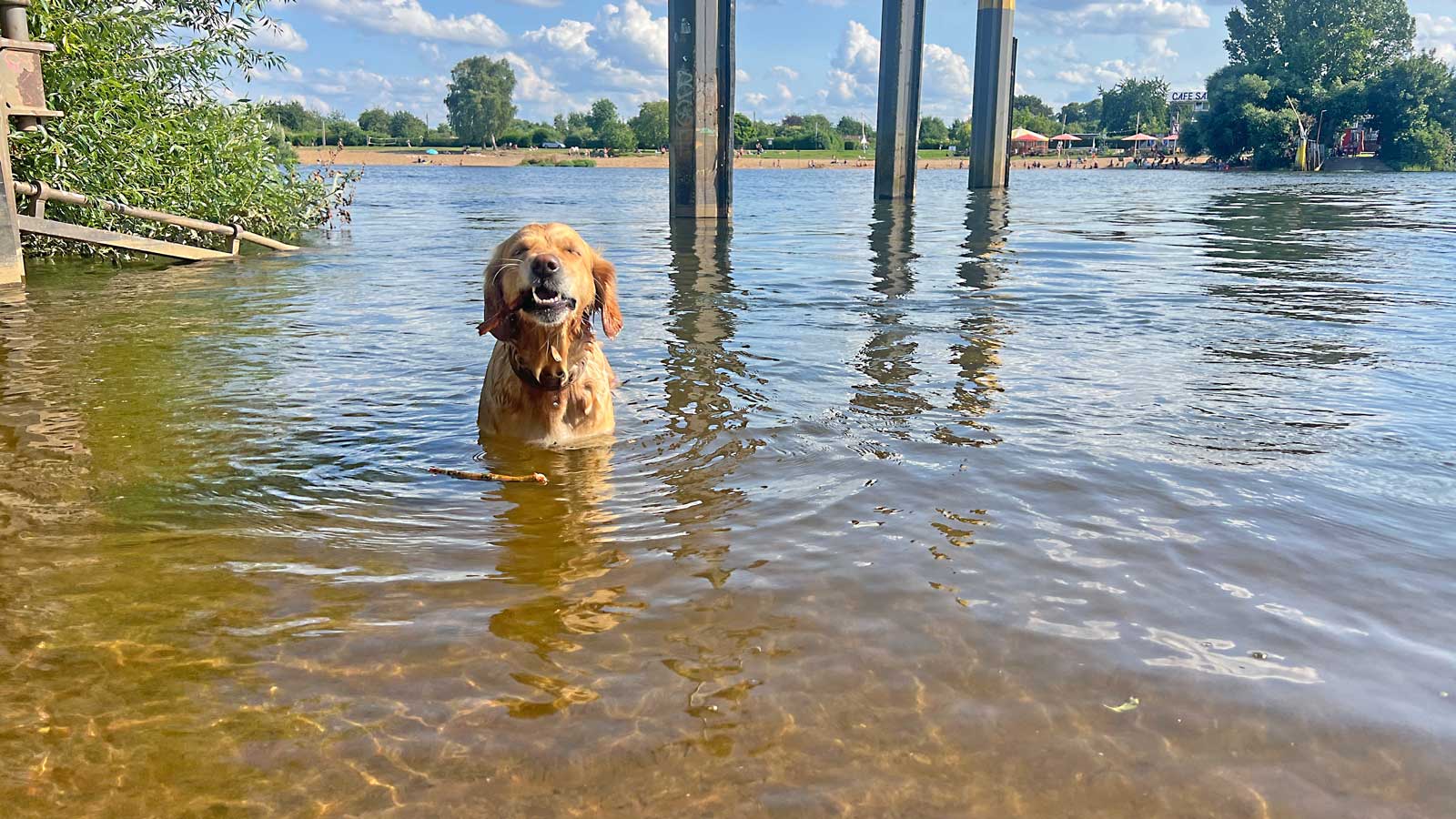 Hund im Wasser, Cafe Sand im Hintergrund