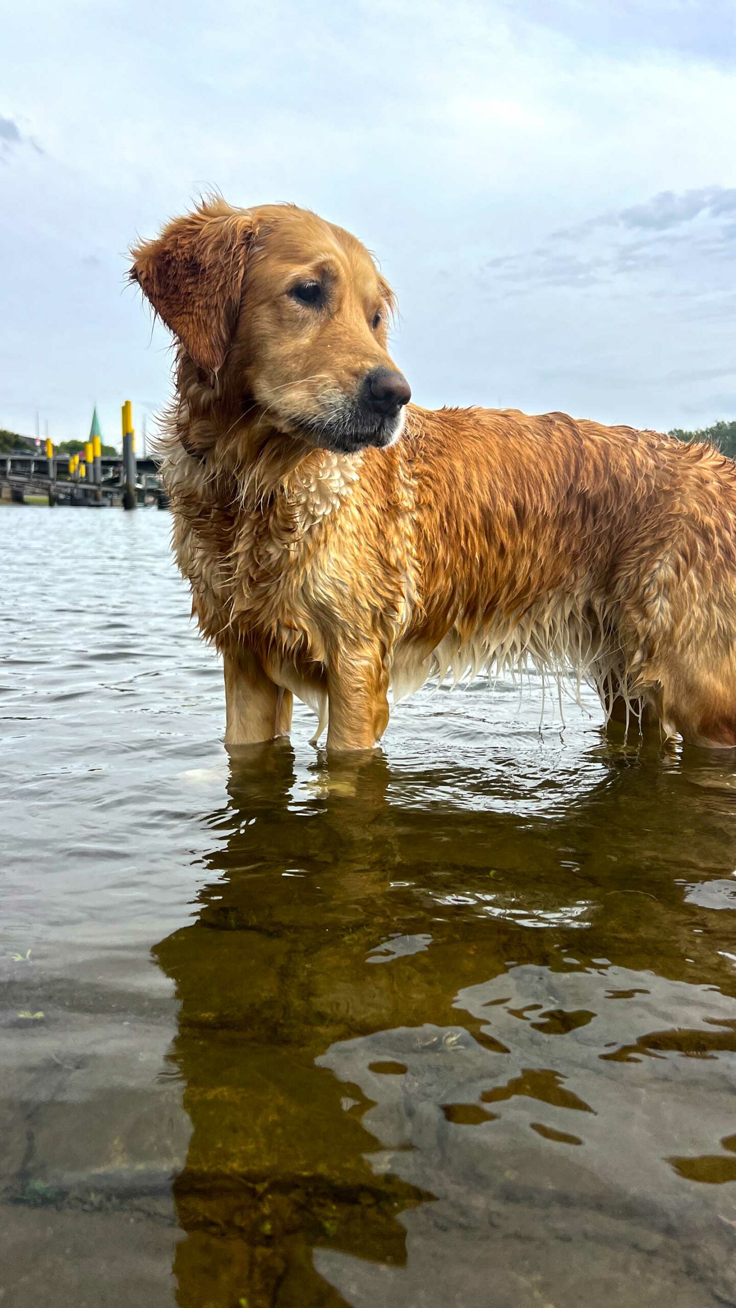 Lenne im Wasser